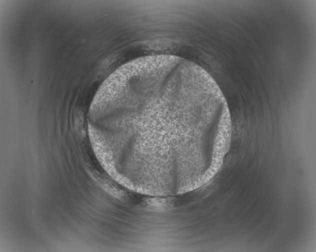 X0000080720187200701021104