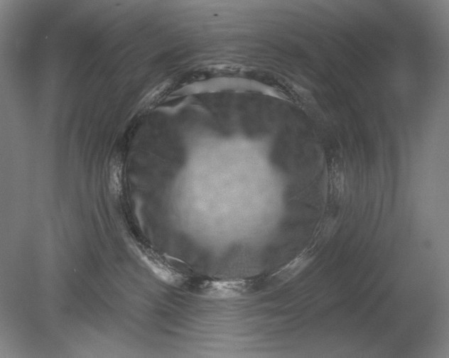 X0000080720188200701021104