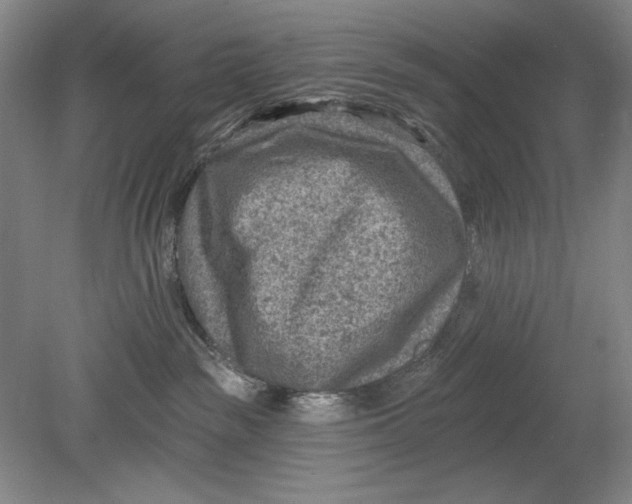 X0000080720189200701021104