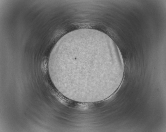 X0000080720190200701021104