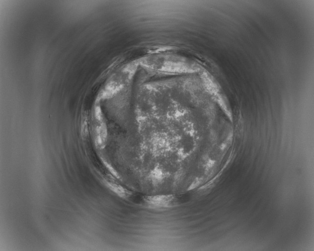 X0000080720191200701021104