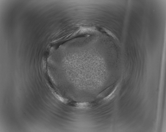 X0000080720192200701021104