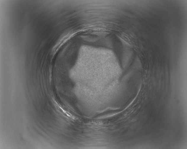 X0000080720194200701021103