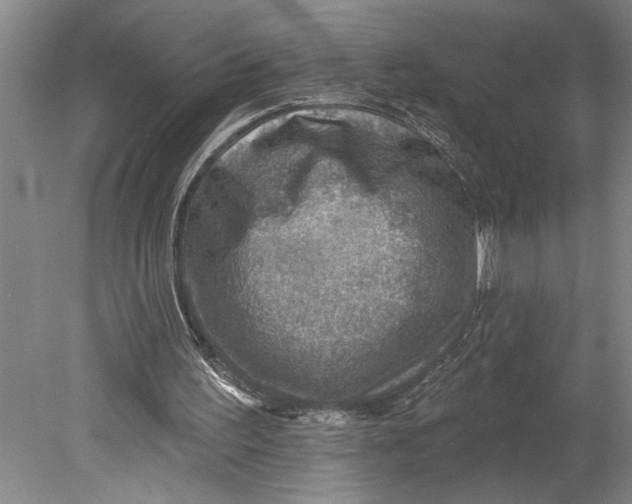 X0000080720195200701021103