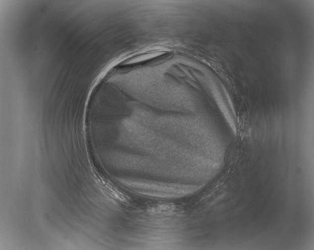 X0000080720196200701021103