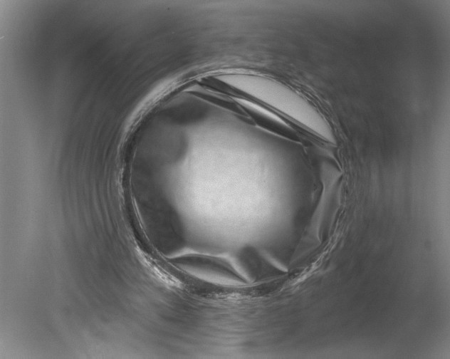 X0000080720197200701021103