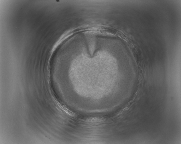 X0000080720198200701021103