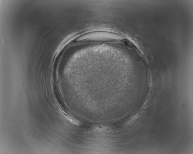 X0000080720199200701021103