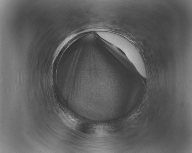 X0000080720200200701021103