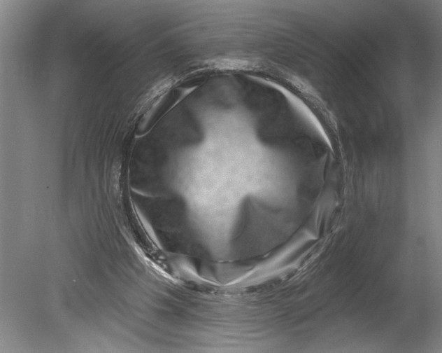 X0000080720201200701021103