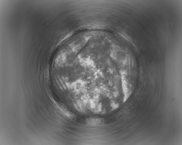 X0000080720202200701021103