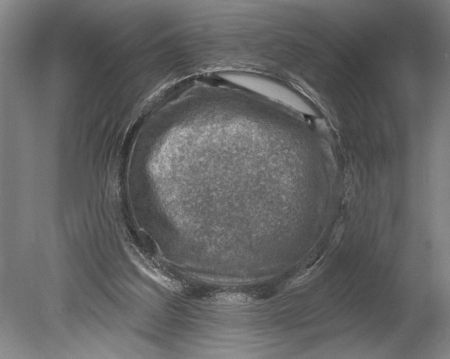 X0000080720203200701021103