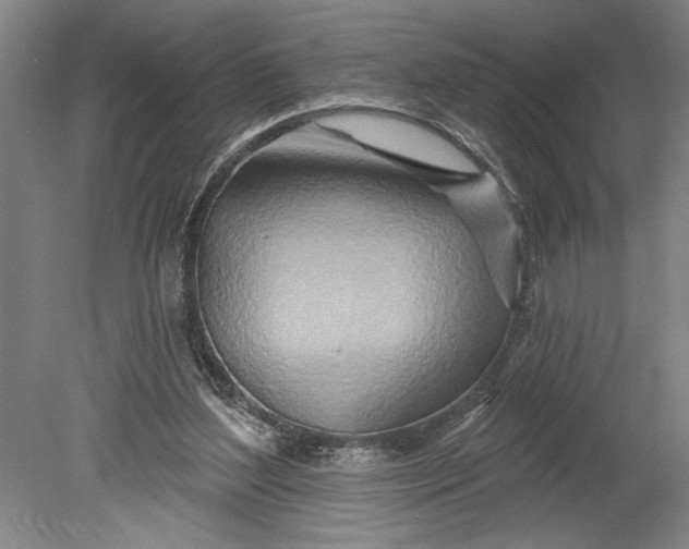 X0000080720204200701021103