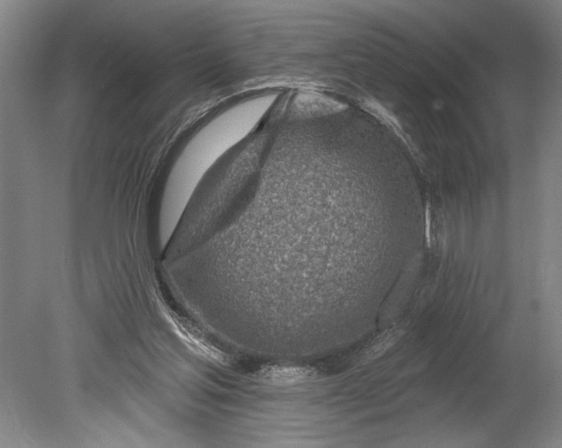 X0000080720205200701021103