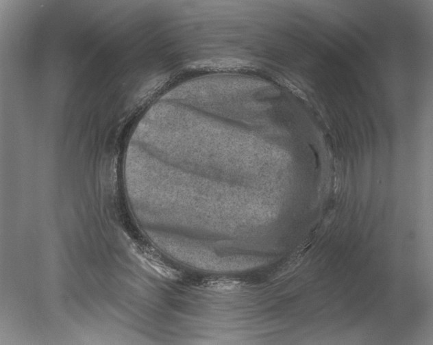 X0000080720206200701021103