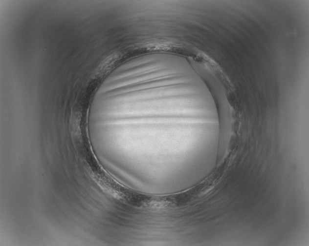 X0000080720209200701021103