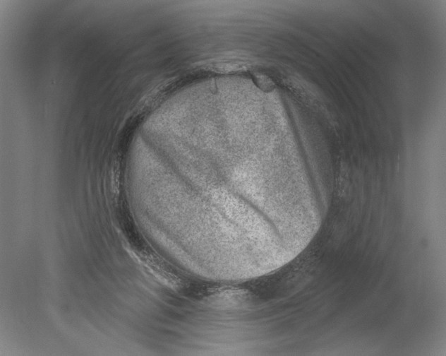 X0000080720210200701021103