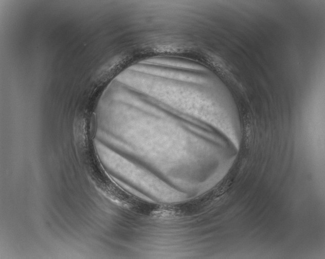 X0000080720211200701021103