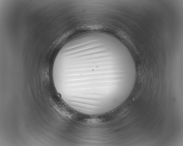 X0000080720212200701021103