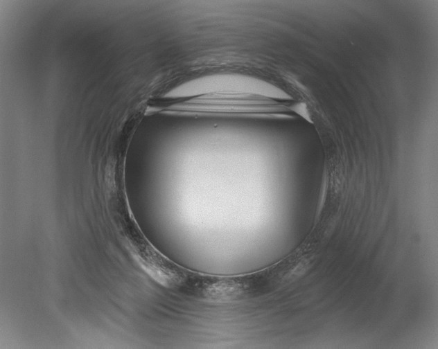 X0000080720213200701021103