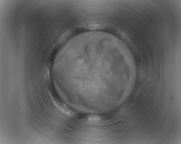 X0000080720214200701021102