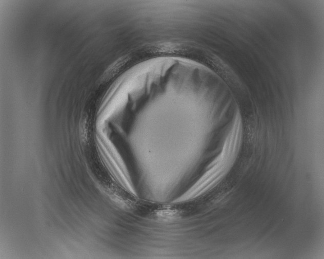 X0000080720216200701021102