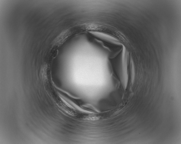 X0000080720217200701021102