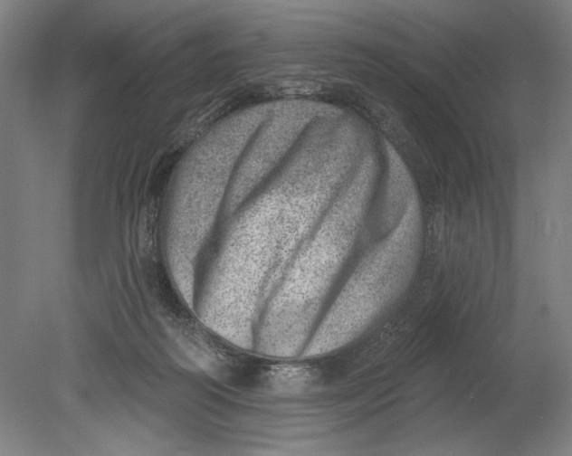 X0000080720218200701021102