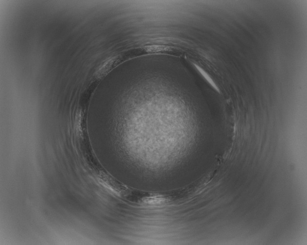 X0000080720219200701021102