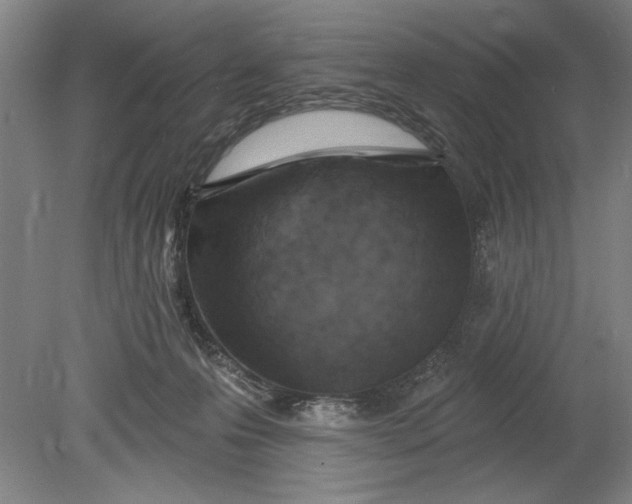 X0000080720223200701021102