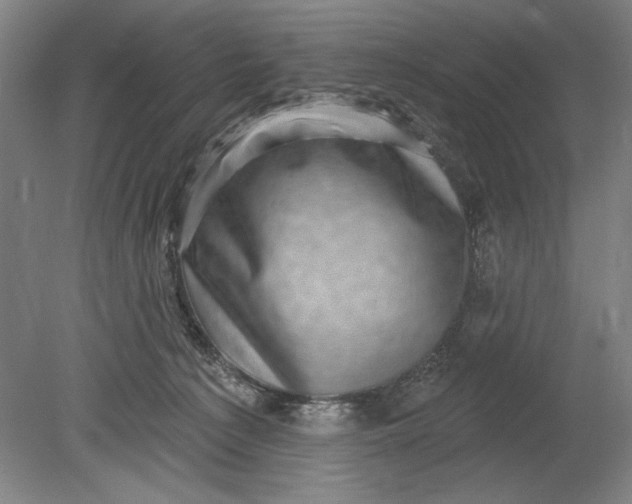 X0000080720225200701021102