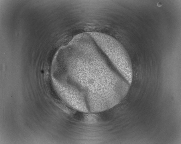 X0000080720226200701021102