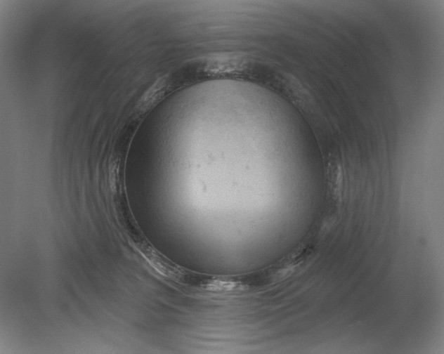 X0000080720227200701021102