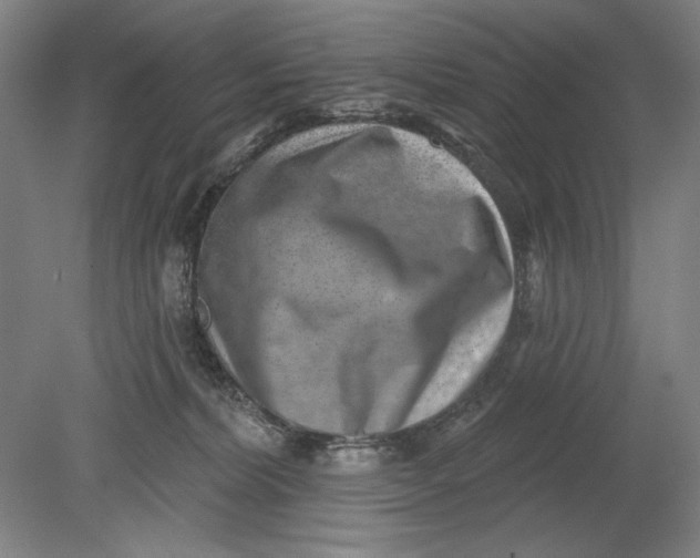 X0000080720228200701021102