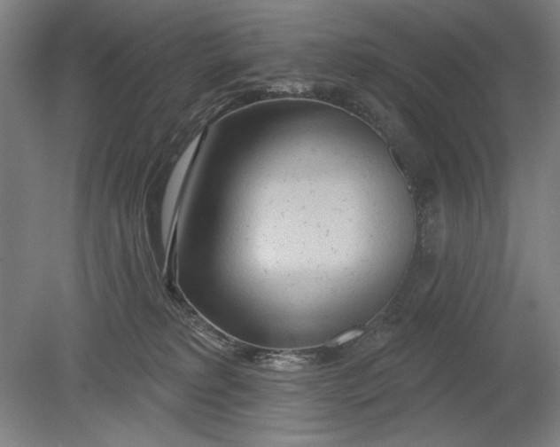 X0000080720229200701021102