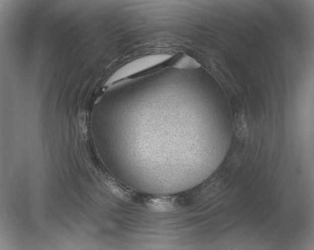 X0000080720232200701021102