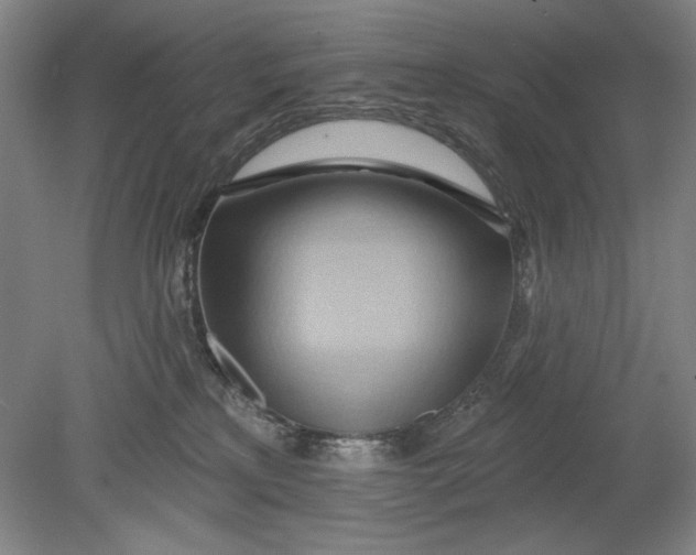 X0000080720233200701021102