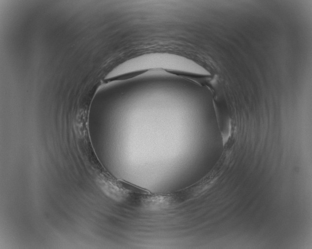 X0000080720237200701021102