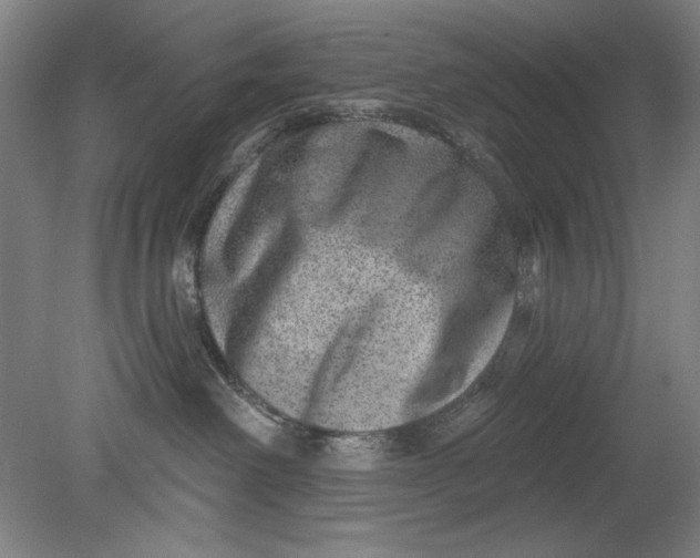 X0000080720238200701021102