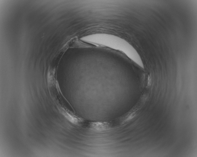 X0000080720239200701021102