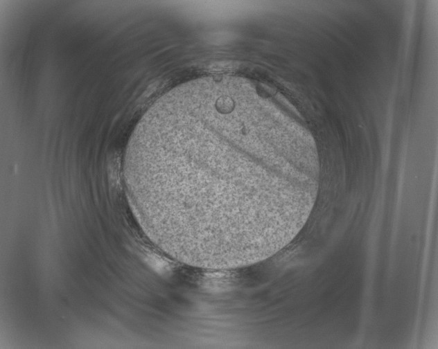 X0000080720240200701021102