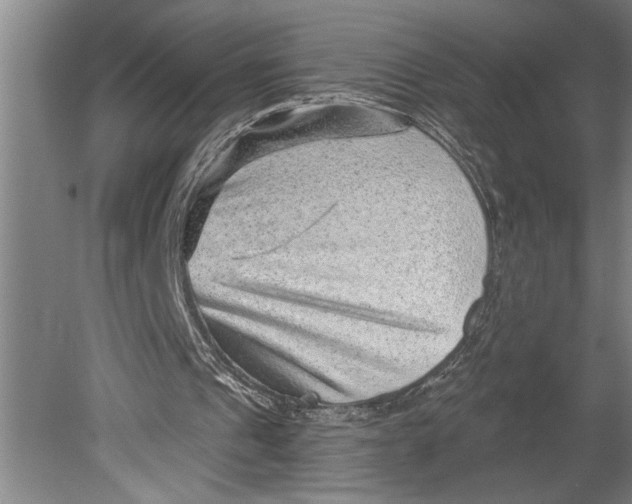 X0000080720241200701021101