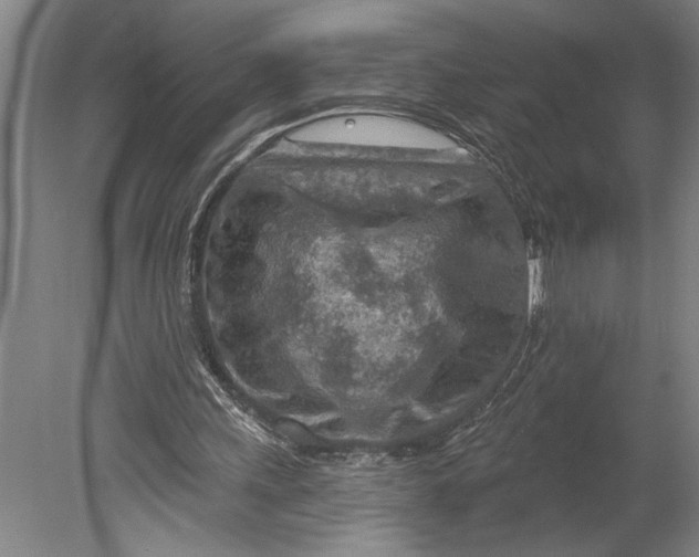 X0000080720243200701021101