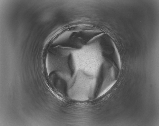 X0000080720245200701021101