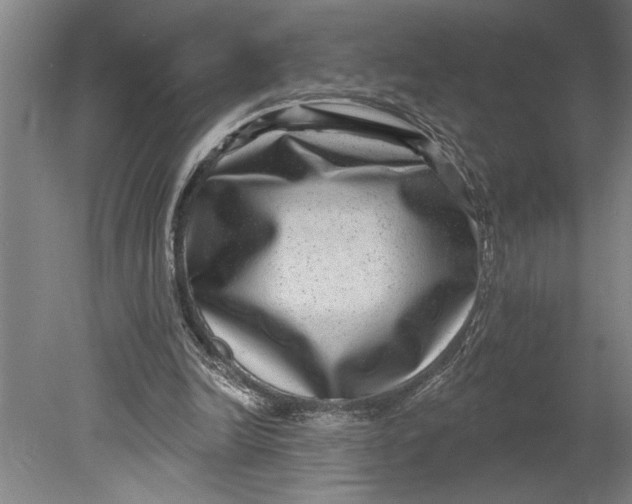 X0000080720246200701021101