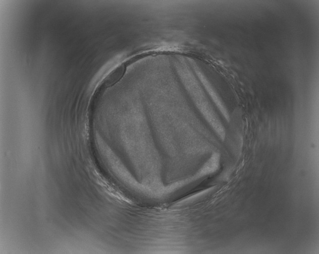 X0000080720247200701021101