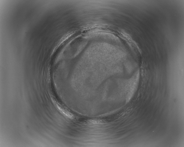 X0000080720250200701021101