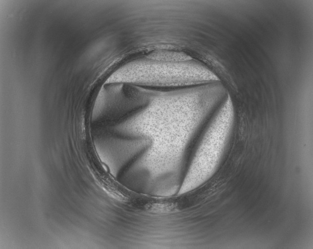 X0000080720251200701021101