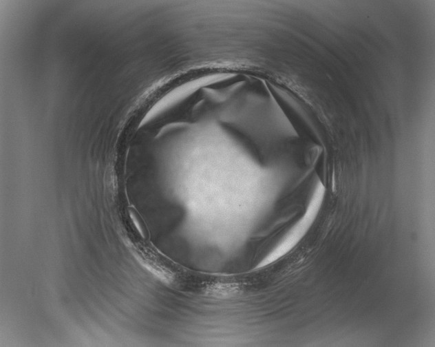 X0000080720252200701021101