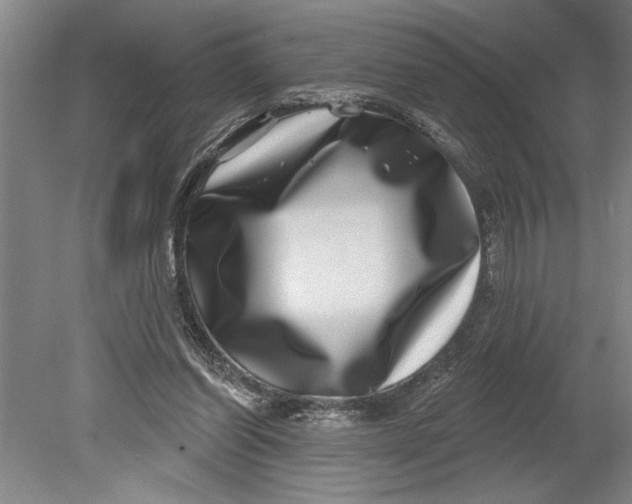 X0000080720254200701021101